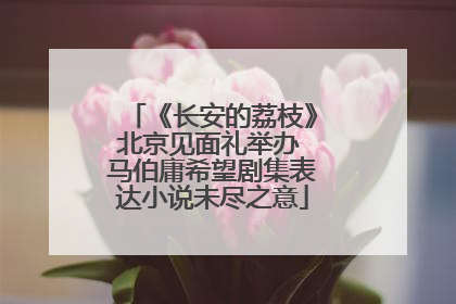 《长安的荔枝》北京见面礼举办 马伯庸希望剧集表达小说未尽之意