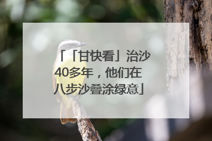 「甘快看」治沙40多年，他们在八步沙叠涂绿意