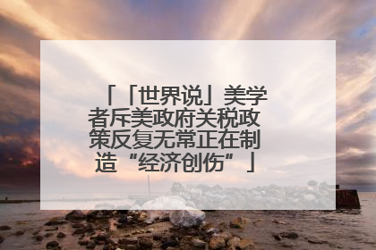 「世界说」美学者斥美政府关税政策反复无常正在制造“经济创伤”