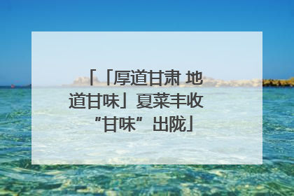 「厚道甘肃 地道甘味」夏菜丰收 “甘味”出陇