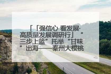 「强信心 看发展·高质量发展调研行」“三步上篮”托举“甘味”出海——秦州大樱桃高质量发展动作分解