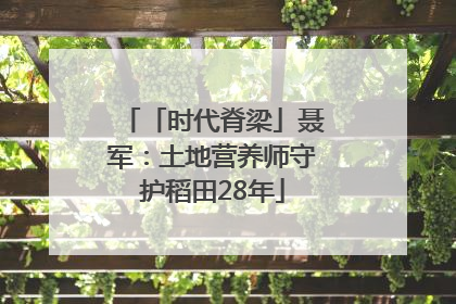 「时代脊梁」聂军：土地营养师守护稻田28年