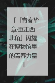 「青春华章·重走西北角」闪耀在博物馆里的青春力量