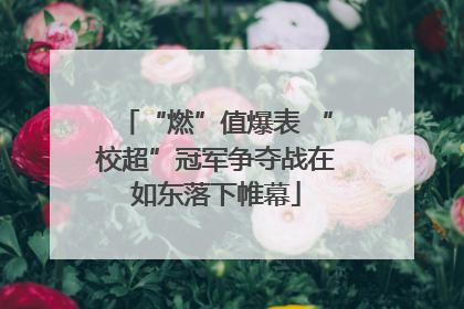 “燃”值爆表 “校超”冠军争夺战在如东落下帷幕