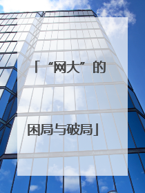 “网大”的困局与破局