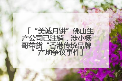 “美诚月饼”佛山生产公司已注销,涉小杨哥带货“香港传统品牌”产地争议事件