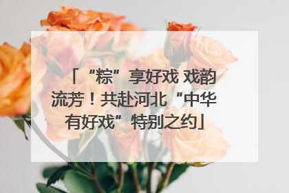 “粽”享好戏 戏韵流芳！共赴河北“中华有好戏”特别之约