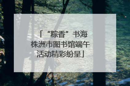 “粽香”书海 株洲市图书馆端午活动精彩纷呈
