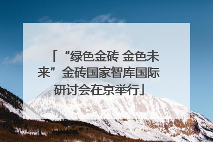 “绿色金砖 金色未来”金砖国家智库国际研讨会在京举行