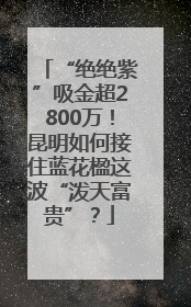 “绝绝紫”吸金超2800万！昆明如何接住蓝花楹这波“泼天富贵”？