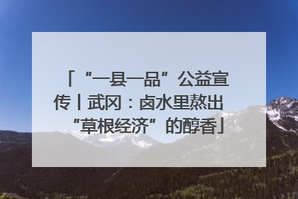 “一县一品”公益宣传丨武冈：卤水里熬出“草根经济”的醇香
