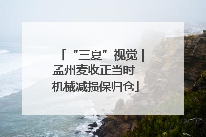 “三夏”视觉｜孟州麦收正当时 机械减损保归仓