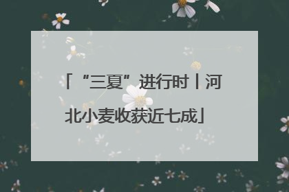 “三夏”进行时丨河北小麦收获近七成