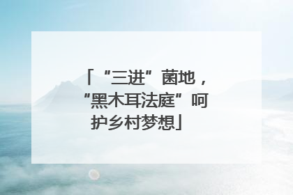 “三进”菌地，“黑木耳法庭”呵护乡村梦想