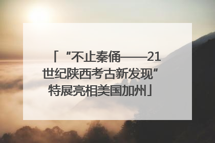 “不止秦俑——21世纪陕西考古新发现”特展亮相美国加州