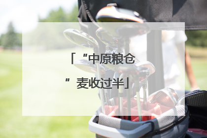 “中原粮仓”麦收过半