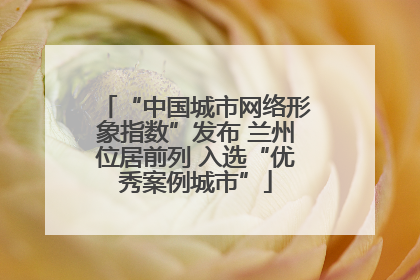 “中国城市网络形象指数”发布 兰州位居前列 入选“优秀案例城市”