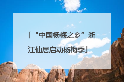 “中国杨梅之乡”浙江仙居启动杨梅季