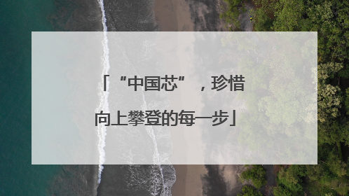 “中国芯”，珍惜向上攀登的每一步