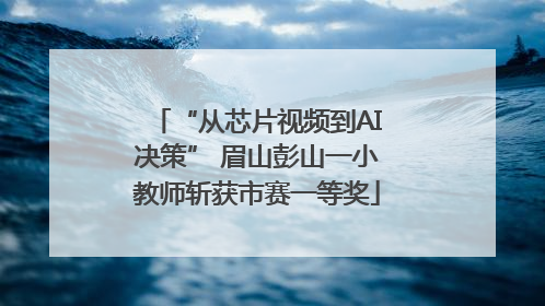 “从芯片视频到AI决策” 眉山彭山一小教师斩获市赛一等奖