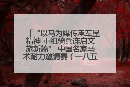 “以马为媒传承军垦精神 重组骑兵连启文旅新篇” 中国名家马术耐力邀请赛（一八五团站）暨重启骑兵连活动正式启动