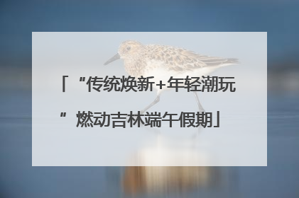 “传统焕新+年轻潮玩”燃动吉林端午假期