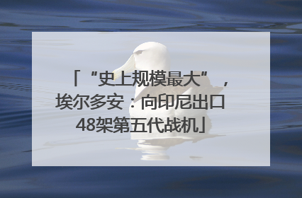 “史上规模最大”，埃尔多安：向印尼出口48架第五代战机