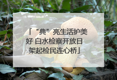 “典”亮生活护美好 白水检察开放日架起检民连心桥