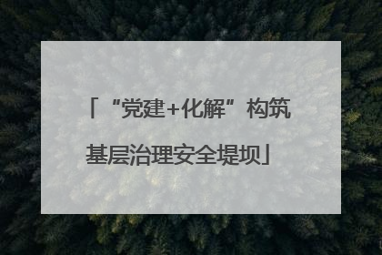 “党建+化解”构筑基层治理安全堤坝