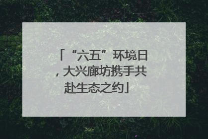“六五”环境日，大兴廊坊携手共赴生态之约