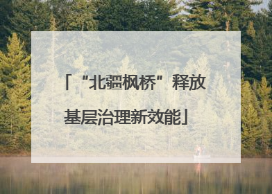 “北疆枫桥”释放基层治理新效能