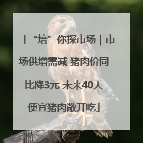 “培”你探市场｜市场供增需减 猪肉价同比降3元 未来40天便宜猪肉敞开吃