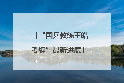 “国乒教练王皓考编”最新进展