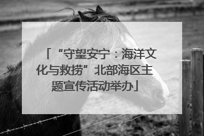 “守望安宁：海洋文化与救捞”北部海区主题宣传活动举办