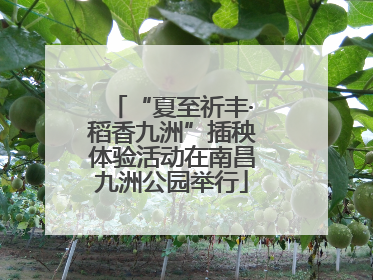 “夏至祈丰·稻香九洲”插秧体验活动在南昌九洲公园举行