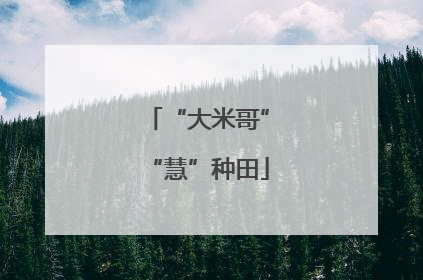 “大米哥”“慧”种田