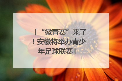 “徽青赛”来了！安徽将举办青少年足球联赛