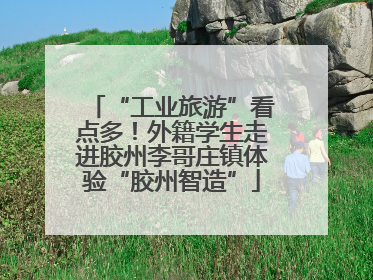 “工业旅游”看点多！外籍学生走进胶州李哥庄镇体验“胶州智造”