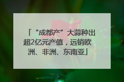 “成都产”大蒜种出超2亿元产值，远销欧洲、非洲、东南亚