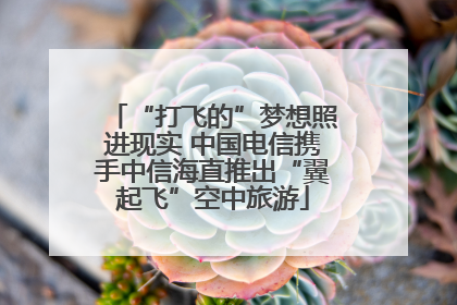 “打飞的”梦想照进现实 中国电信携手中信海直推出“翼起飞”空中旅游