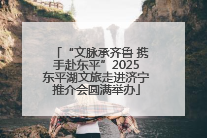 “文脉承齐鲁 携手赴东平”2025东平湖文旅走进济宁推介会圆满举办
