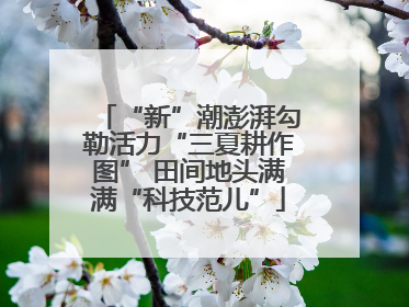 “新”潮澎湃勾勒活力“三夏耕作图” 田间地头满满“科技范儿”