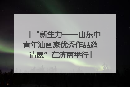 “新生力——山东中青年油画家优秀作品邀请展”在济南举行