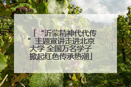“沂蒙精神代代传”主题宣讲走进北京大学 全国万名学子掀起红色传承热潮