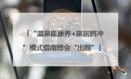 “温泉医康养+旅居腾冲”模式借南博会“出圈”
