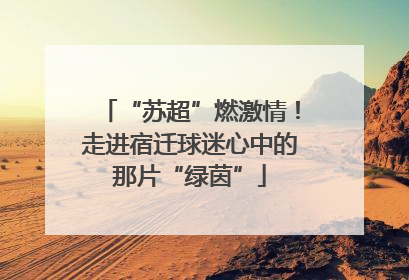 “苏超”燃激情！走进宿迁球迷心中的那片“绿茵”