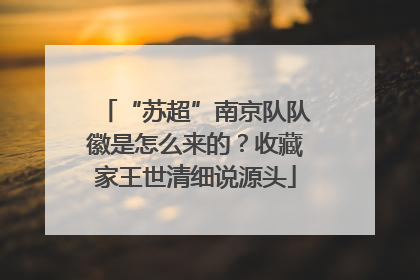 “苏超”南京队队徽是怎么来的？收藏家王世清细说源头