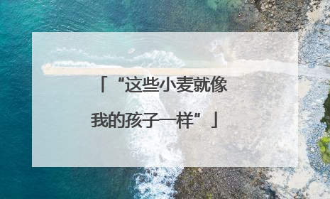 “这些小麦就像我的孩子一样”