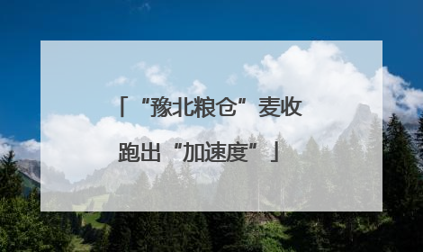 “豫北粮仓”麦收跑出“加速度”