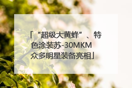 “超级大黄蜂”、特色涂装苏-30MKM 众多明星装备亮相